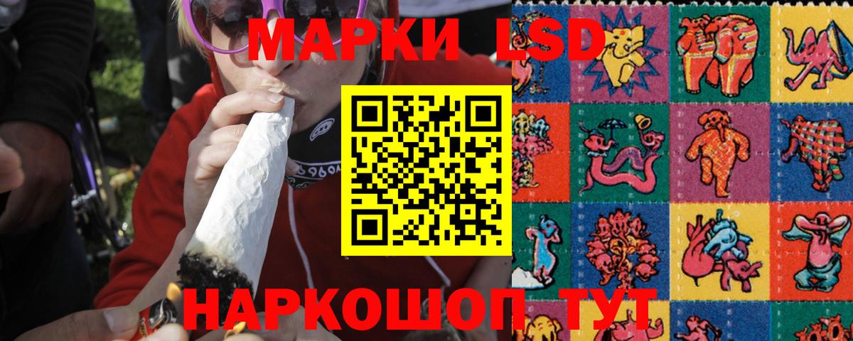 ГАШ Можга