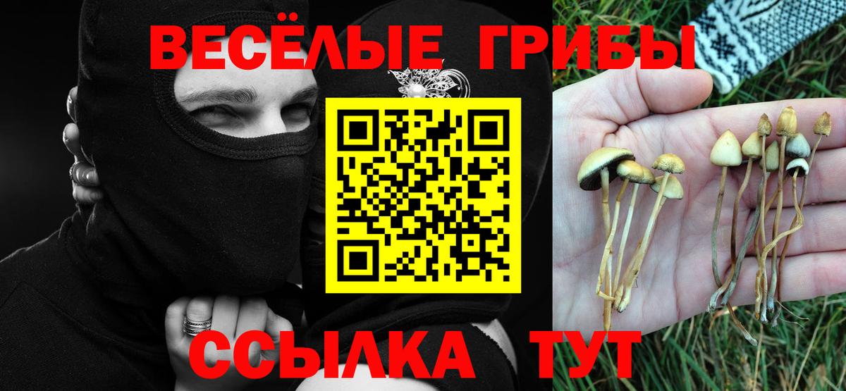 Галлюциногенные грибы мицелий Можга