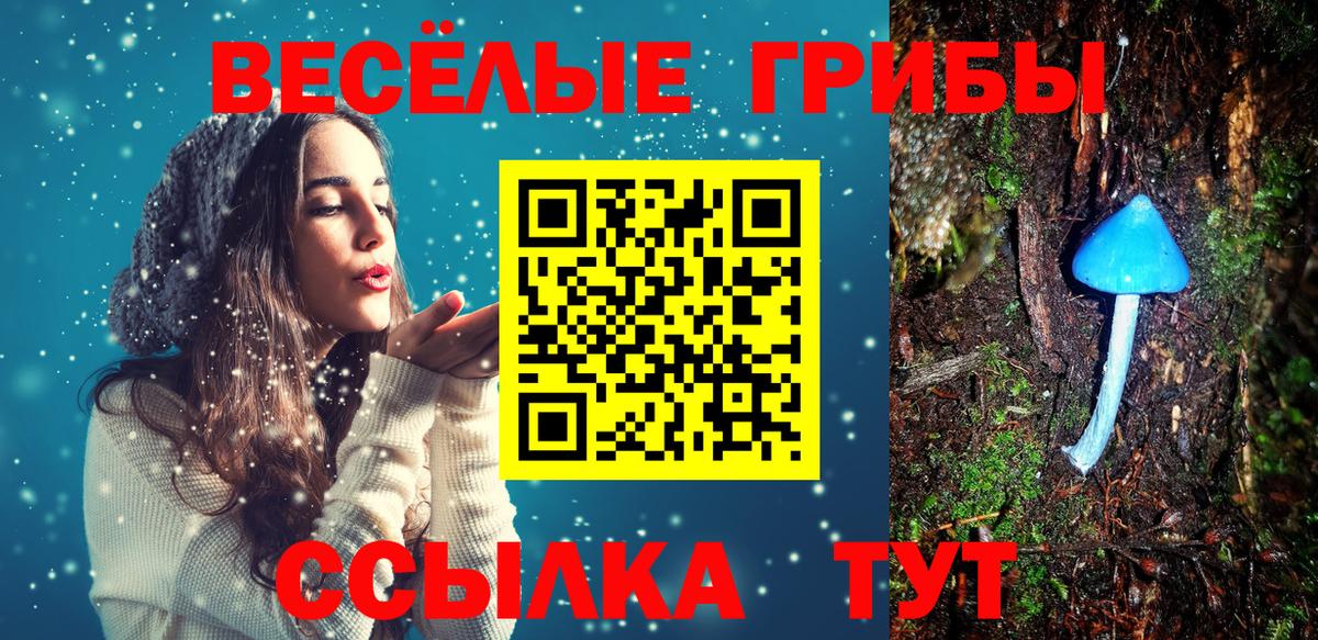 Можга  Псилоцибиновые грибы GOLDEN TEACHER  Вход с VPN 